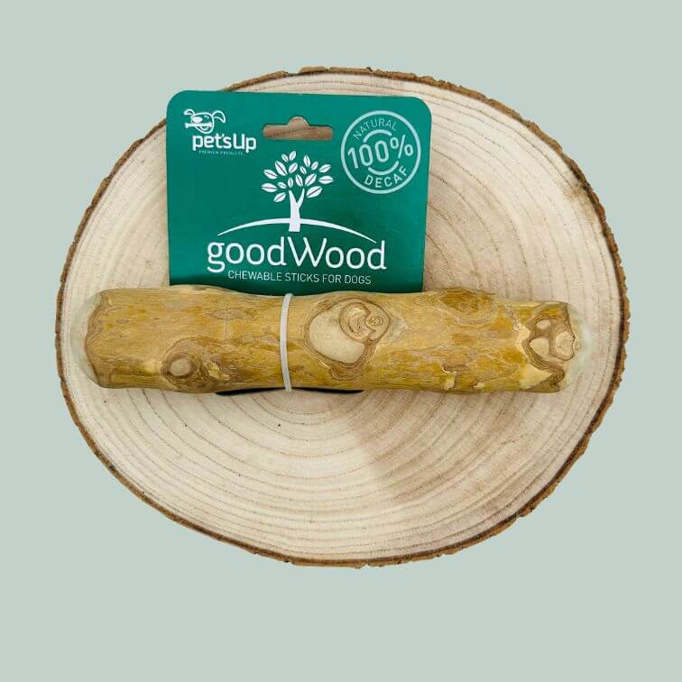 Medium coffee wood chew for dogs on wooden plate and jade green background