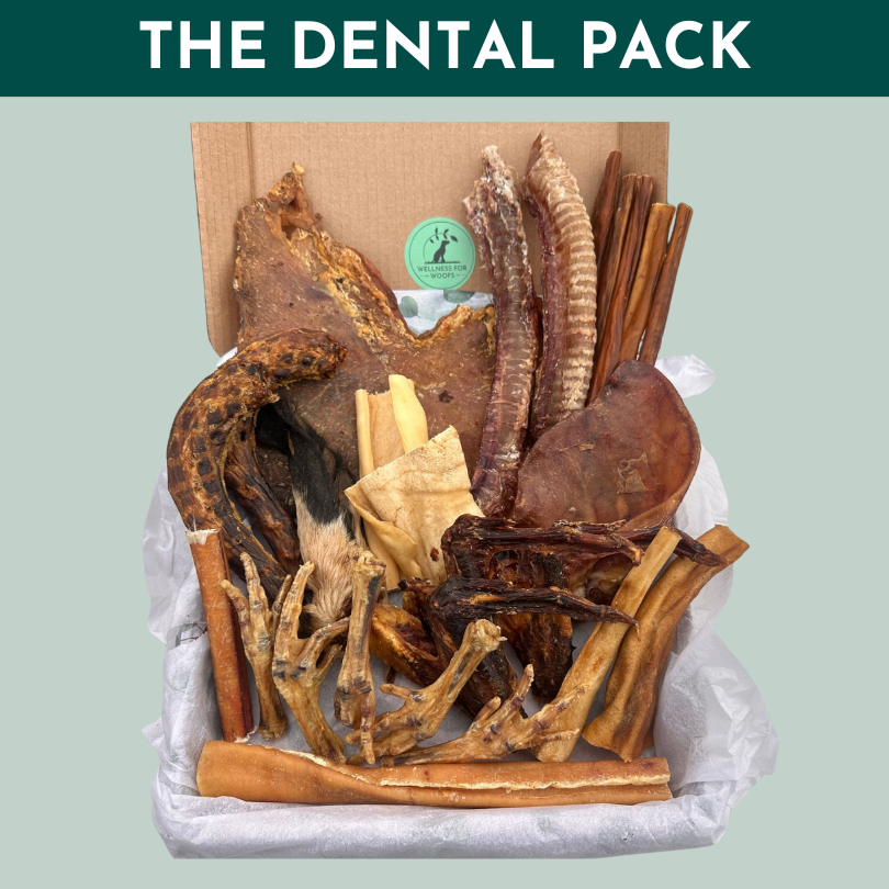 Box of natural healthy dental treats for dogs and puppies