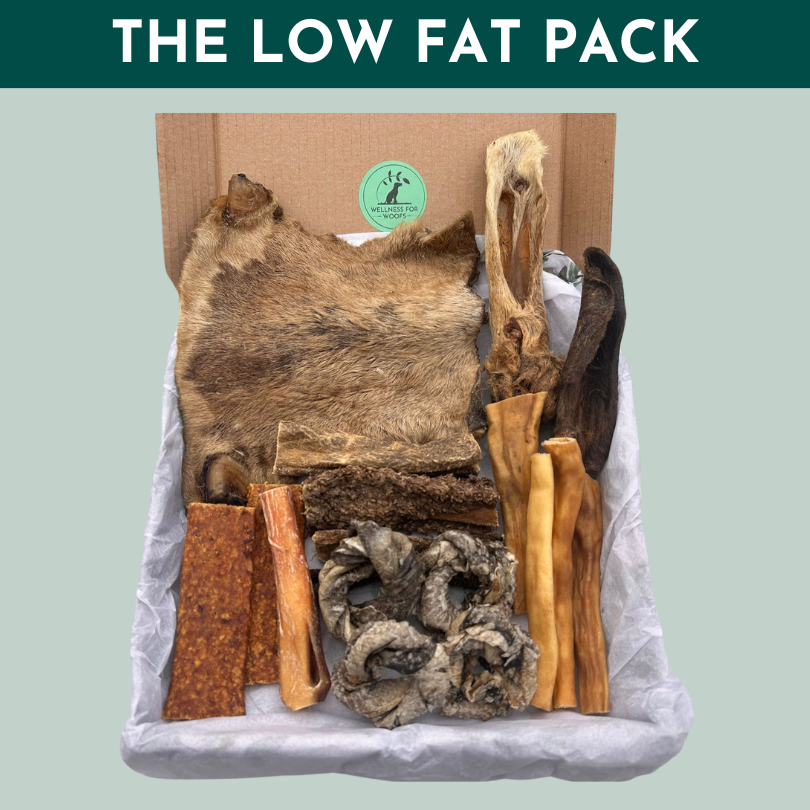 Natural treat box of healthy low fat treats and chews for dogs and puppies
