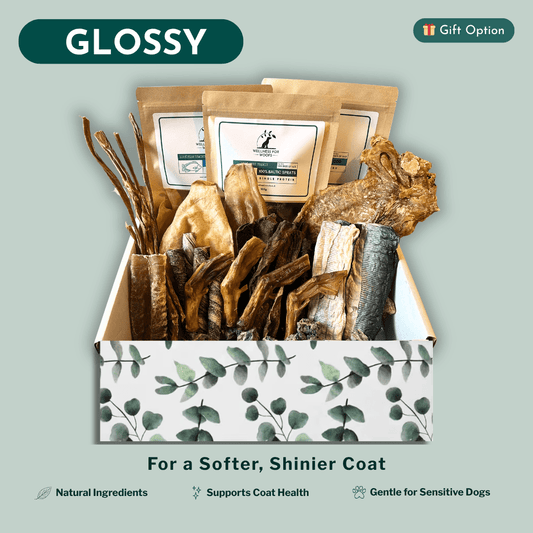 Dog treat box with natural ingredients for a softer, shinier coat on a light green background.