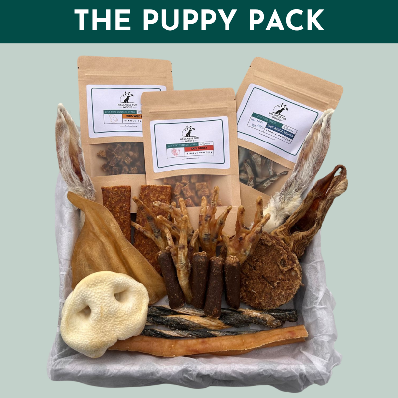 Box of Gentle Natural Dog Treats and Chews for Puppies