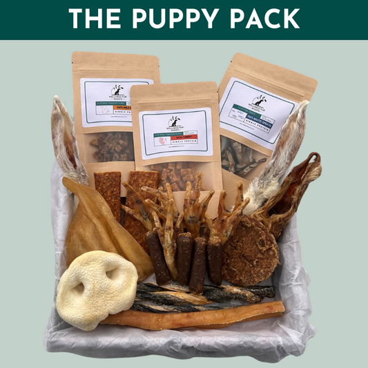 Box of Gentle Natural Dog Treats and Chews for Puppies