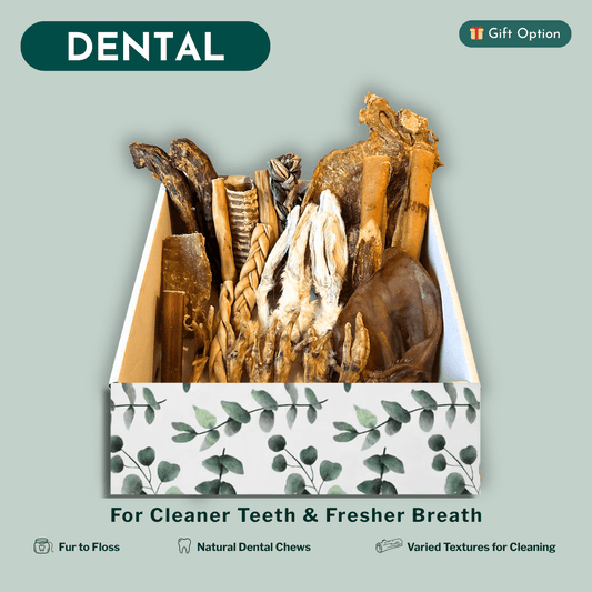 Box of natural dental chews for dogs with a leaf pattern on a light green background.