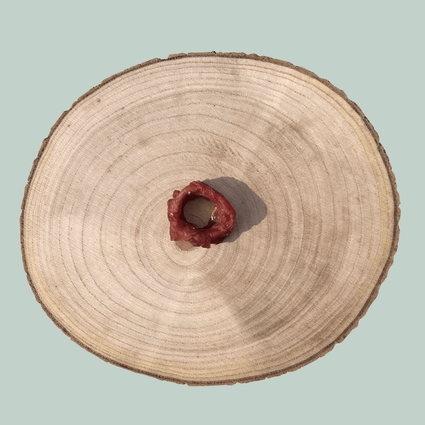 Wooden log slice with a small duck wrapped cod ring dog treat in the centre on a light blue background