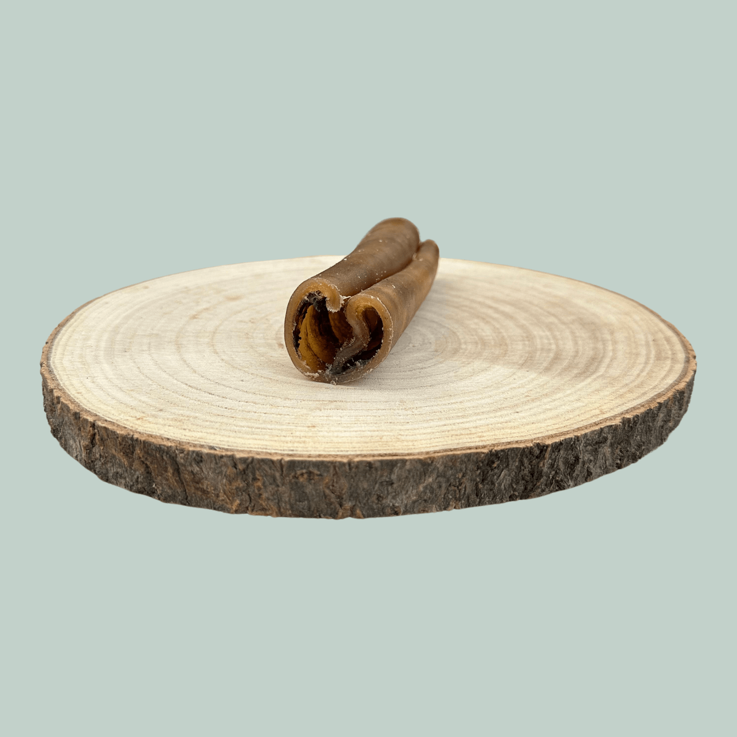 Side view of a single small roll of dried camel skin natural and healthy long lasting dog chews on a wooden slice plate against a jade green background.