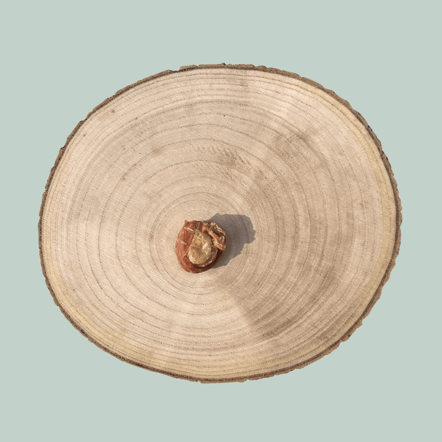 Egg and duck dog treat on a wooden plate in front of a light green background