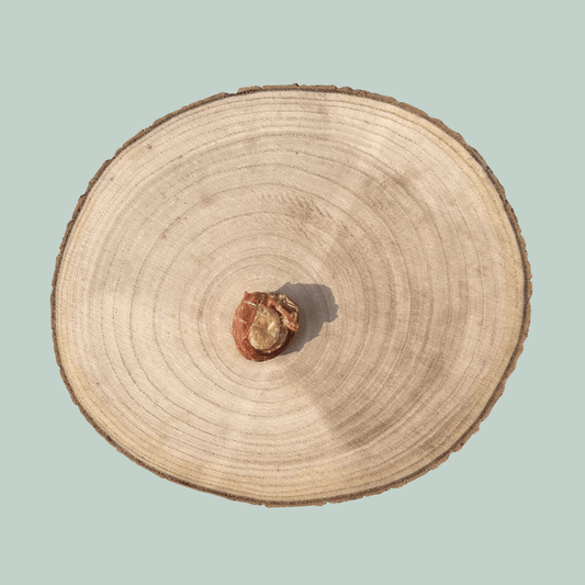 Egg and duck dog treat on a wooden plate in front of a light green background