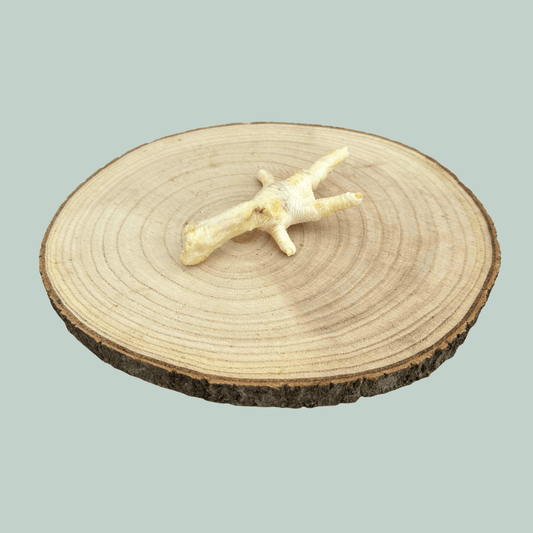 Side view of a single dried and puffed chicken foot for dogs and puppies on a wooden slice plate against a jade green background