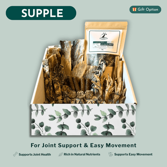 Box of dog treats with a focus on joint support and movement on a light green background