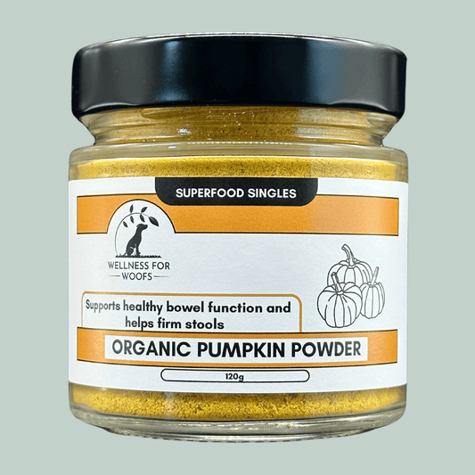 Glass jar containing 120g of Organic Pumpkin Powder for Dogs