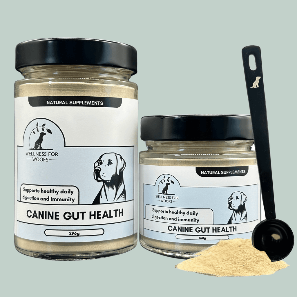 Canine Gut Health I Natural Supplements for Dogs – Wellness for Woofs - Canine Gut Health Supplements For Dogs