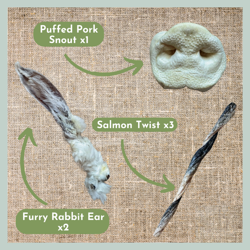 A puffed pork snout, a salmon skin twist stick and furry rabbit ears from a box of natural treats for puppies.