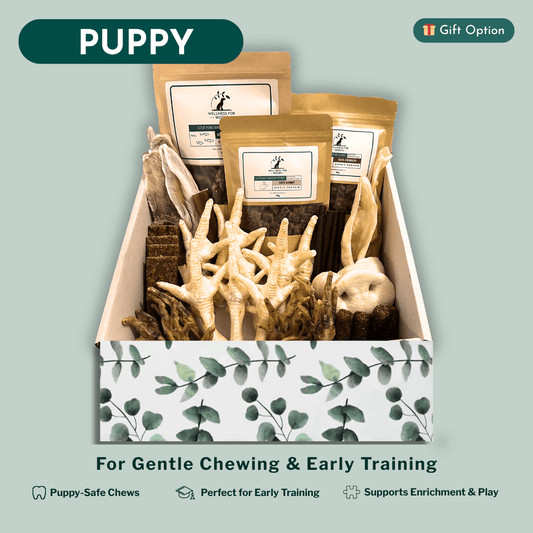 Box of dog chews and treats with packaging labeled 'Puppy' on a light green background.