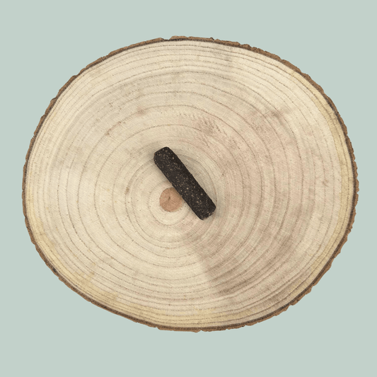 Pure meat sausage for dogs in deer sausage flavour lay on a wooden plate on a jade green background.