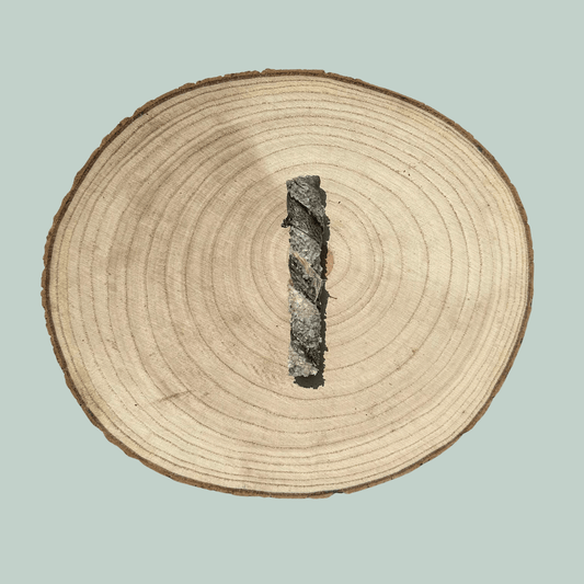Single salmon skin dried dog treat on a natural wooden plate against a jade green background