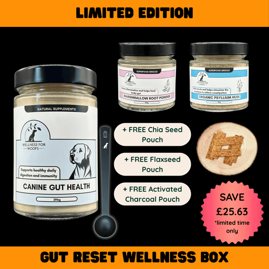 Seasonal Special: Gut Reset Wellness Box