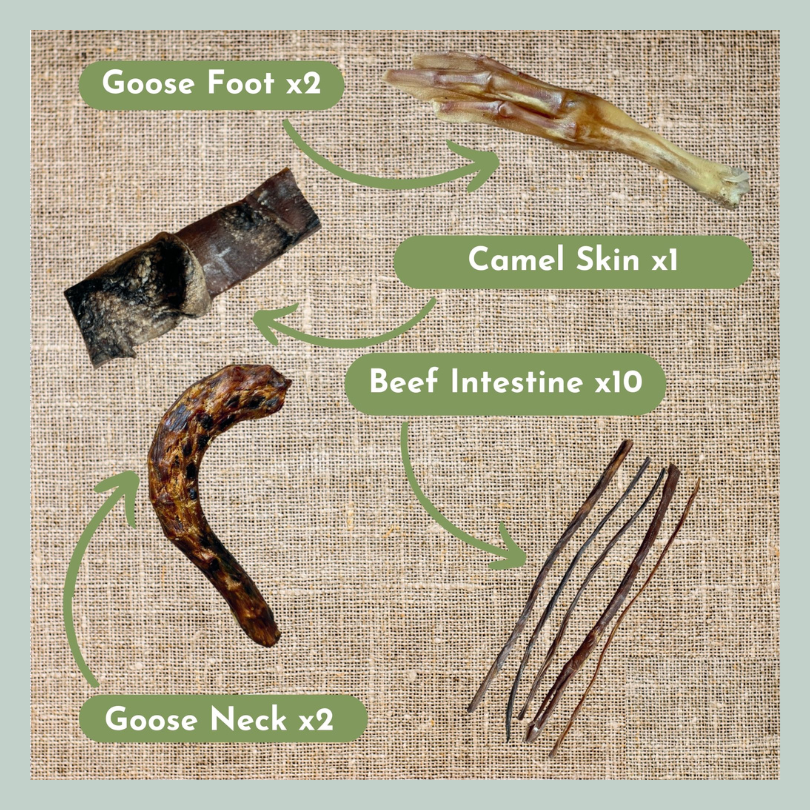 Goose feet, camel skin, beef intestine, beef spaghetti and goose neck from a natural and healthy treats box of chews for dogs that are old, senior or aging.