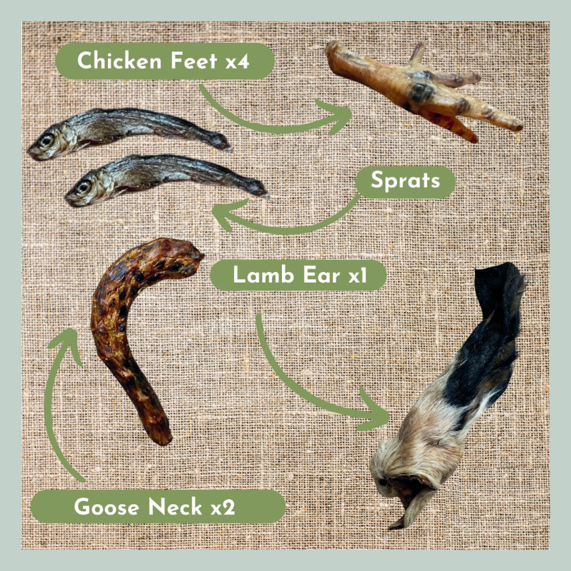 Chicken feet, baltic sprats, furry lambs ears and goose neck from a natural treat box for dogs with sensitive stomachs