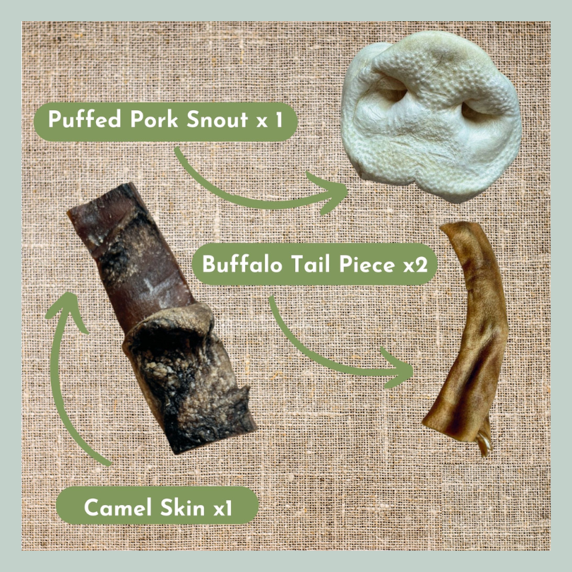 Puffed pig snout, buffalo tail pieces and camel skin from a natural treat box for dogs with sensitive stomachs
