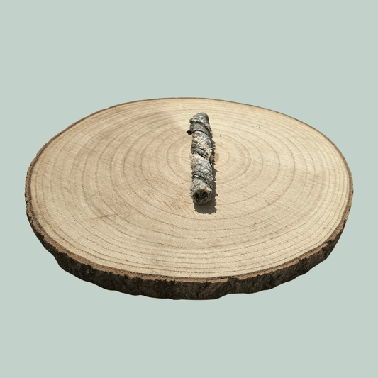 Side view of a single salmon skin dried dog treat on a natural wooden plate against a jade green background