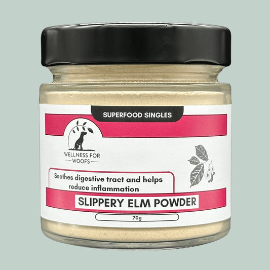 A glass jar containing 70g Slippery Elm Powder for dogs. The label explains the food topper soothes the dog's digestive tract and helps to reduce inflammation. The label is pink and white and the jar has a black lid. Set against a mint green background.