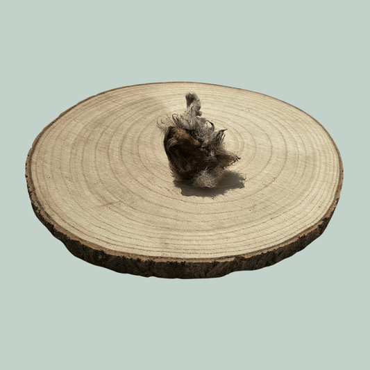 Side view of a single furry lamb ear dog treat on a wooden slice plate against a jade green background