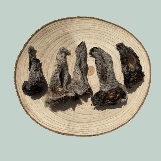 5 Small Furry Lamb Ear dog treats on a wooden slice plate against a jade green background
