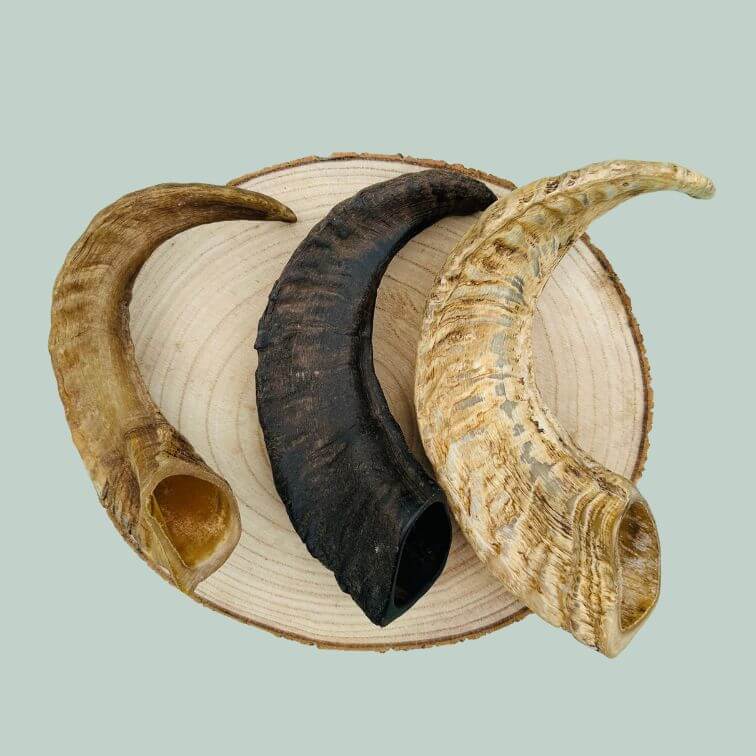 Three lamb horn dog chews on a wooden slice plate and jade green background