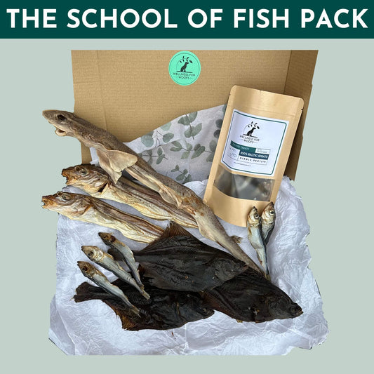 Treat box filled with dried whole fish treats for dogs