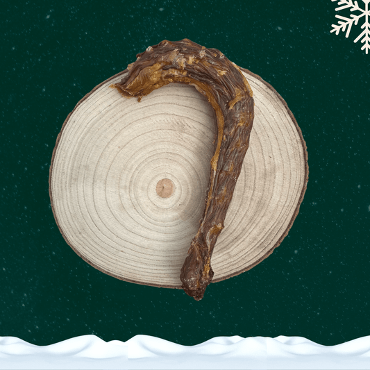 A dried turkey neck dog chew on a wooden plate against a green backdrop.