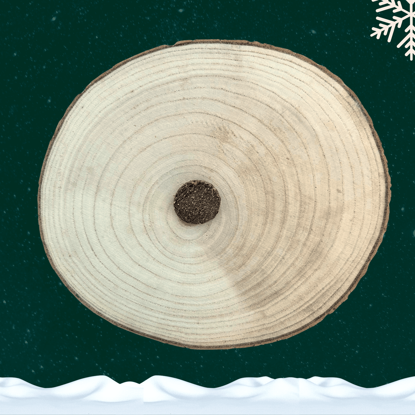 A single Turkey and Cranberry Biscuit for dogs on a wooden plate. All set on a dark green starry background with a white snowflake in the top right corner and a blanket of snow across the bottom.