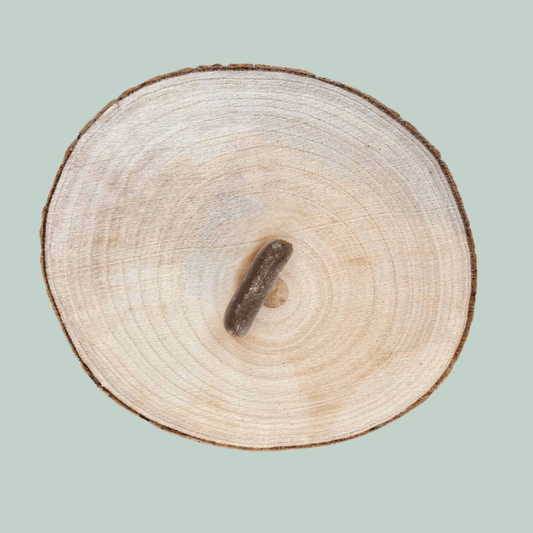 Single protein sausage for dogs lay on a wooden plate on a jade green background.