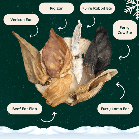 Size comparison of venison ears, pigs ears, furry rabbit ears, furry cow ears, furry lamb ears and beef ear flap dog chews.