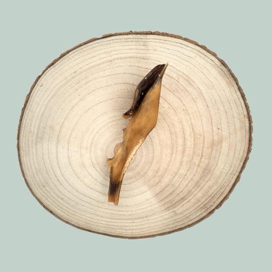 A slice of venison skin chew for dogs on a wooden plate against a jade green background. 