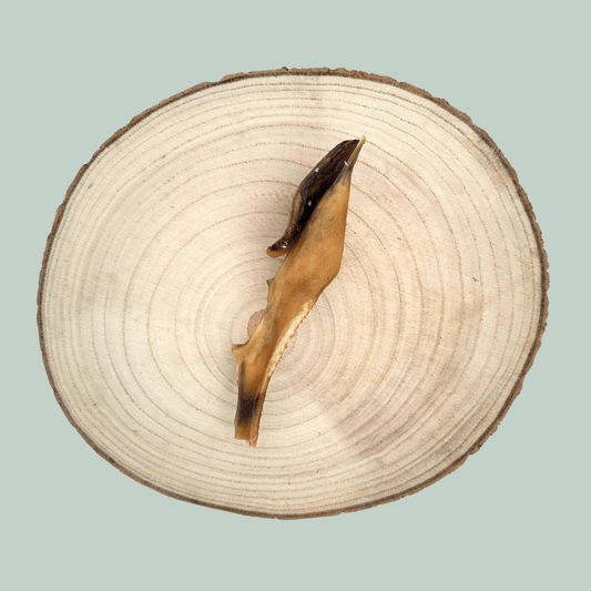 A slice of venison skin chew for dogs on a wooden plate against a jade green background.