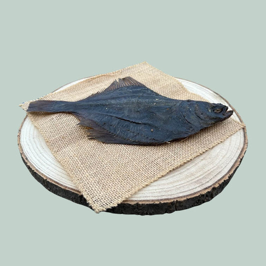 Whole dried flounder dog treat on a wooden plate